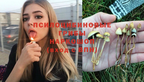 герыч Ладушкин
