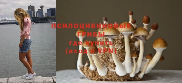 герыч Ладушкин