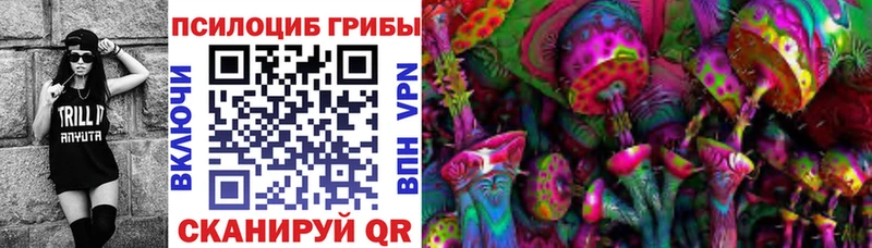 mega   Химки  Галлюциногенные грибы Psilocybine cubensis 