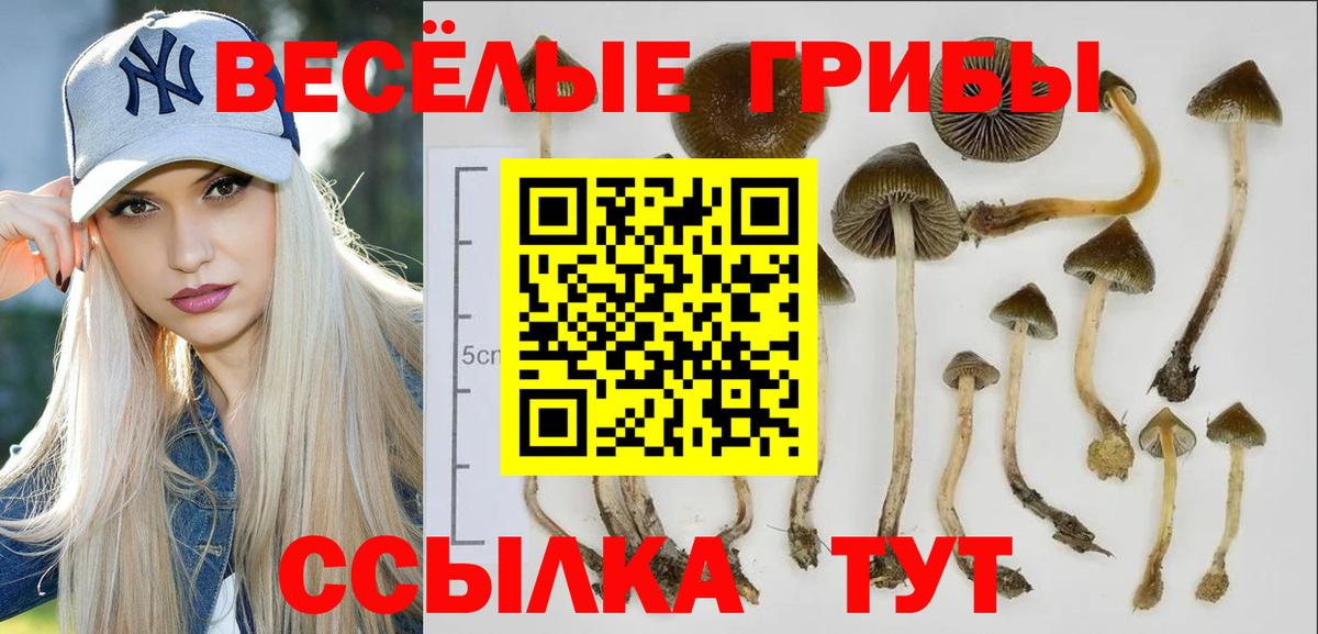 Псилоцибиновые грибы Magic Shrooms  Вход с VPN  Химки 